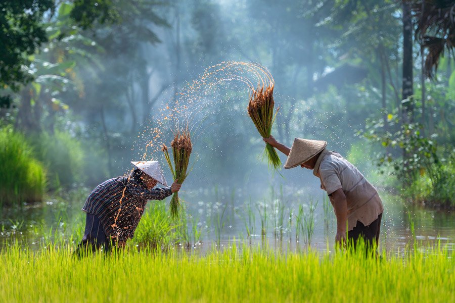 Trekking Along Mekong River 16 Days